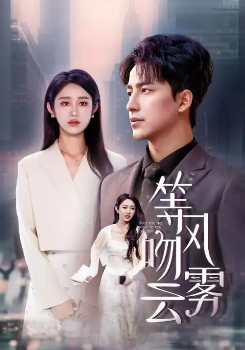 城中之城 热播电视剧全集手机免费看